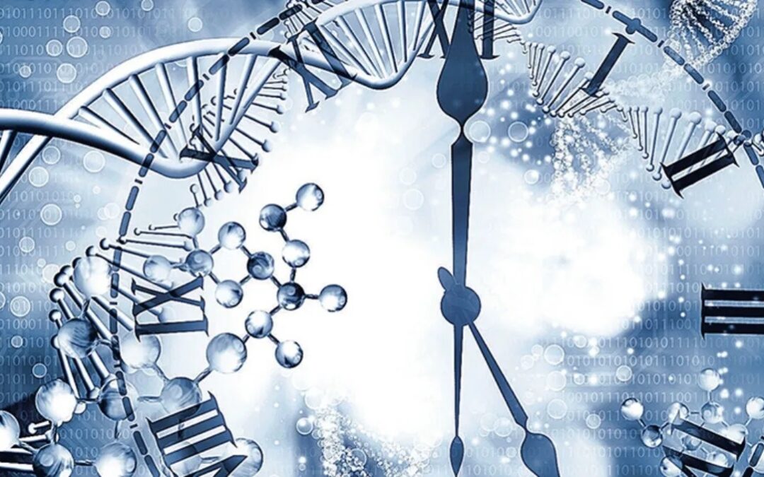 El Fascinante Mundo de los Relojes Epigenéticos: Explorando la Divergencia entre Edad Biológica y Cronológica