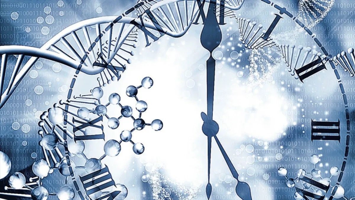 relojes Relojes Epigenéticos