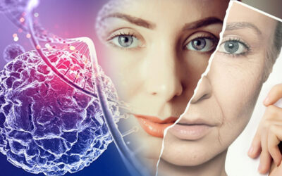 Mecanismos celulares del envejecimiento: qué ocurre en el cuerpo femenino con el paso del tiempo