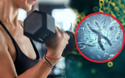 Sarcopenia y longevidad: cómo mantener masa muscular es clave para envejecer bien