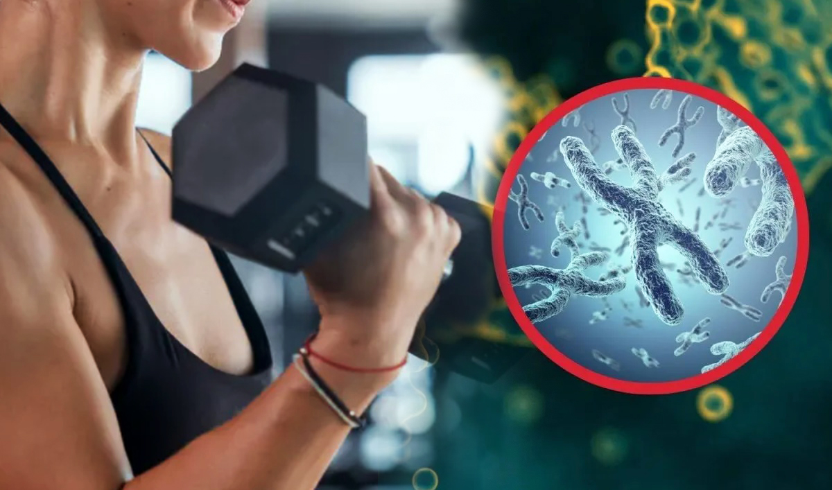 mantener masa muscular es clave para envejecer bien