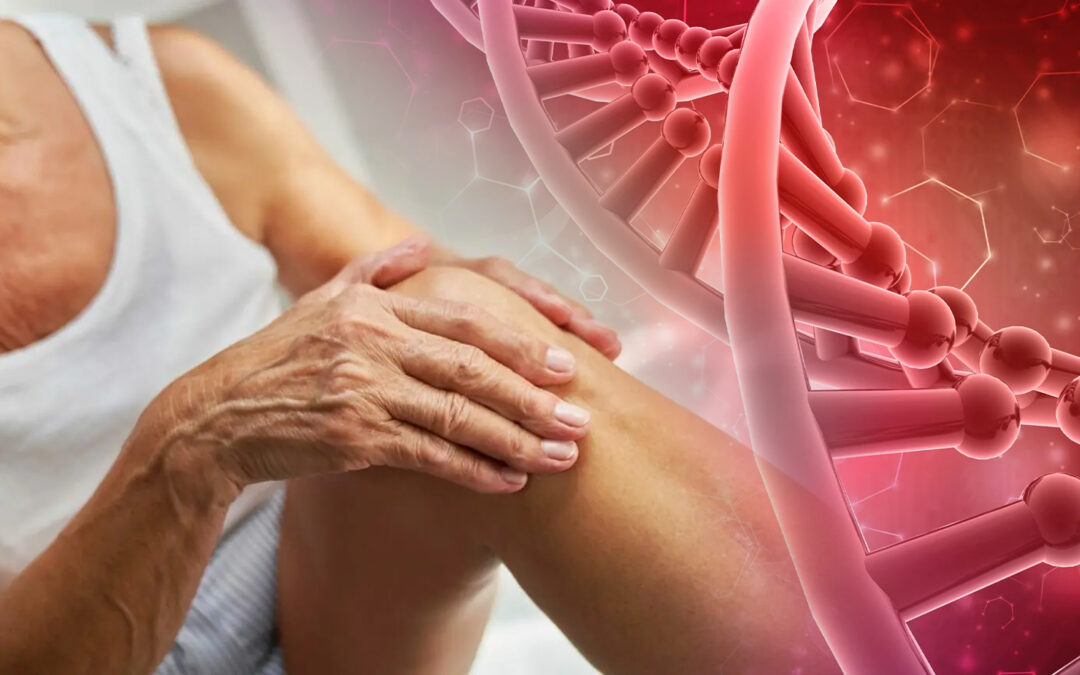 Hormonas y envejecimiento: cómo la pérdida hormonal impacta la composición corporal y vitalidad