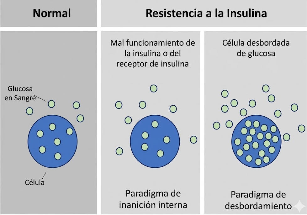 RESISTENCIA A LA INSULINA